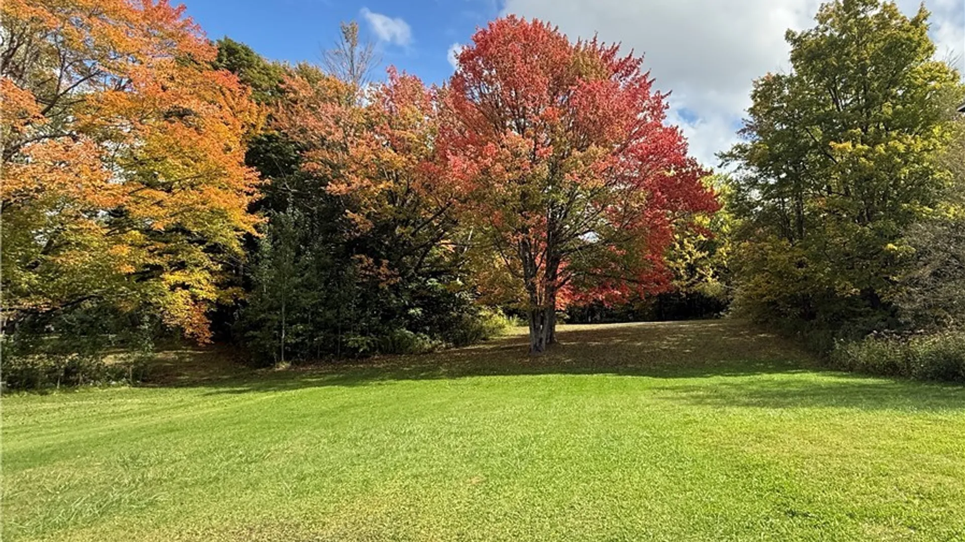 Property at 234 Rock Island Street, Gouverneur, NY 13642 41