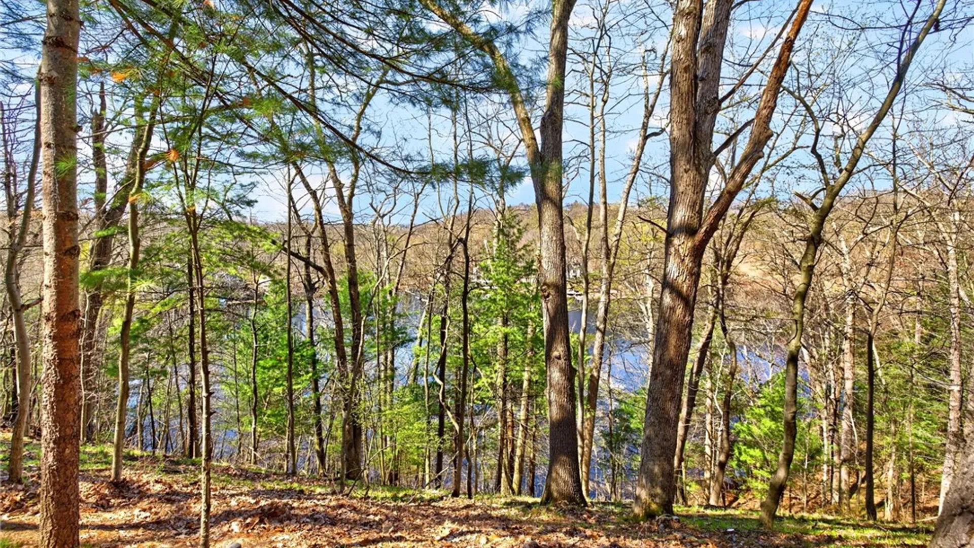 Property at 1 Lacoma Lane, Perinton, NY 14534 39