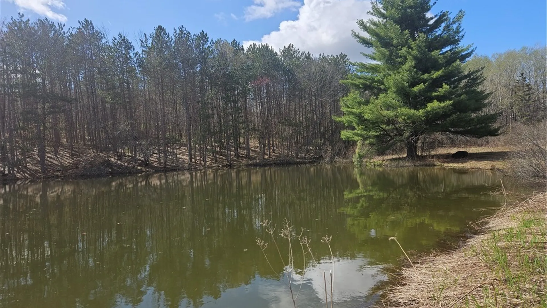 Property at 468 Travis Road, Stark, NY 13361 40