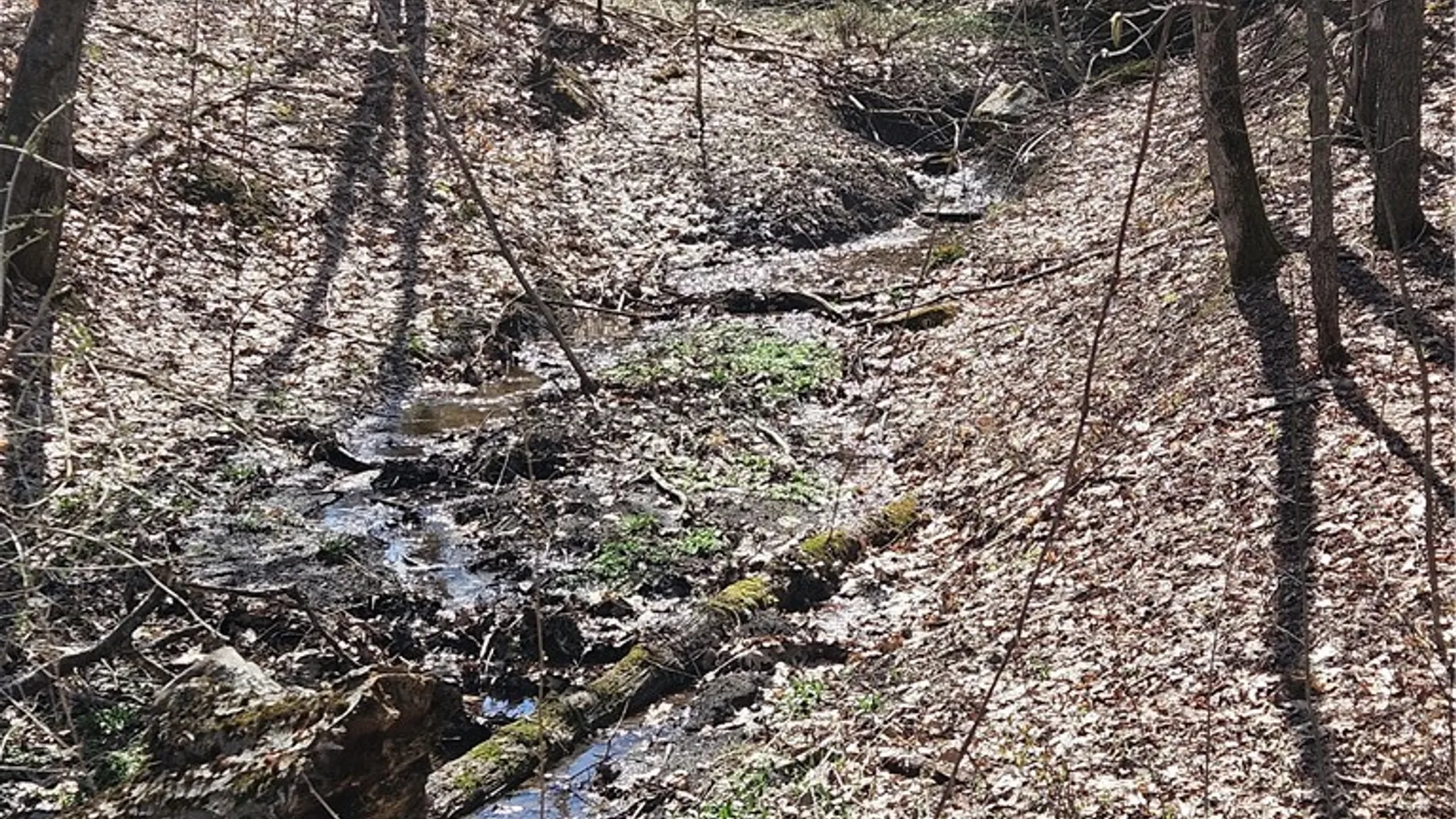 Property at 468 Travis Road, Stark, NY 13361 42