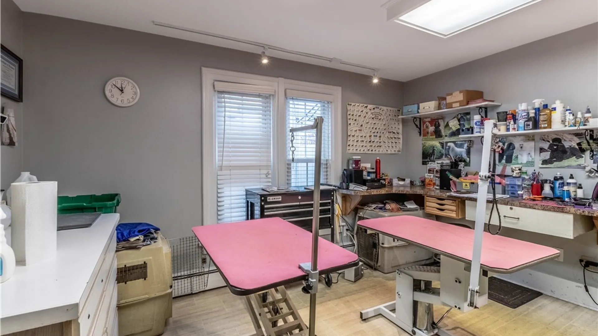 Property at 189 Buffalo Street, Hamburg, NY 14075 20