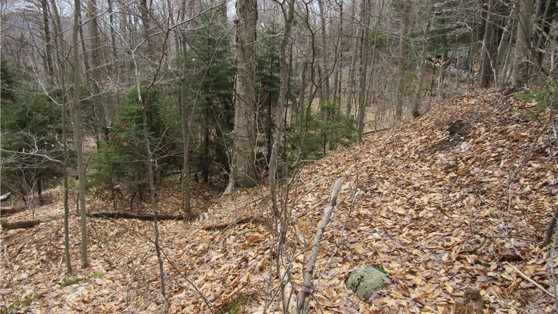 Property at Palisades Road, Webb, NY 13420 10