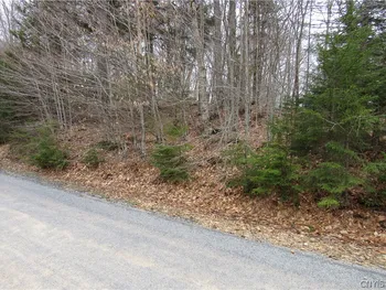 Palisades Road, Webb, NY 13420