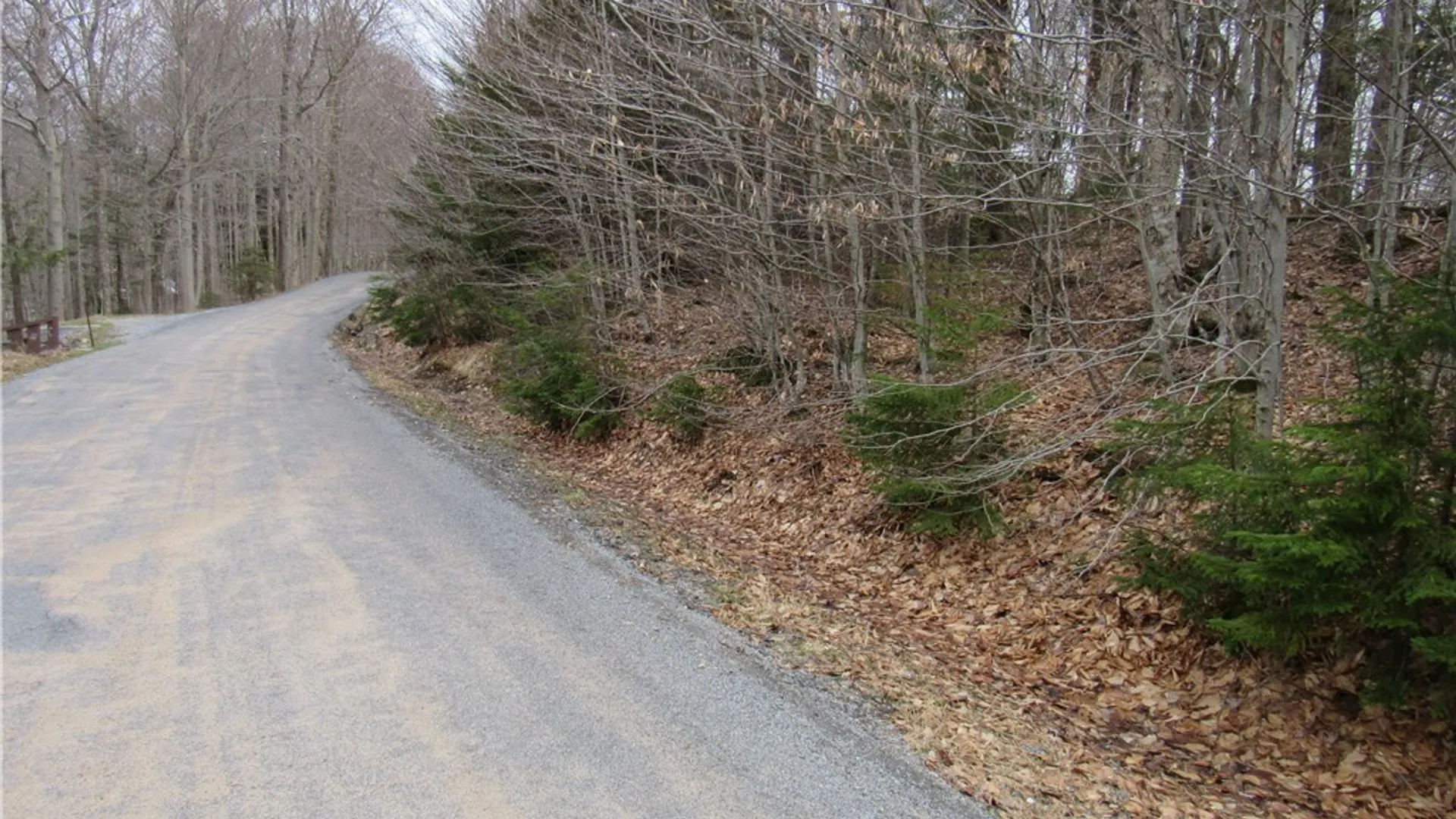 Property at Palisades Road, Webb, NY 13420 2