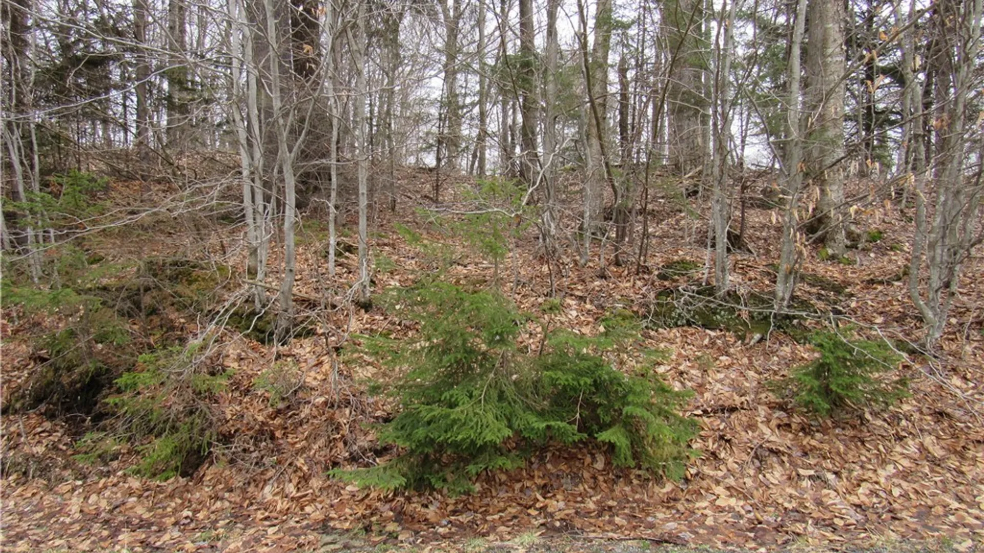 Property at Palisades Road, Webb, NY 13420 3