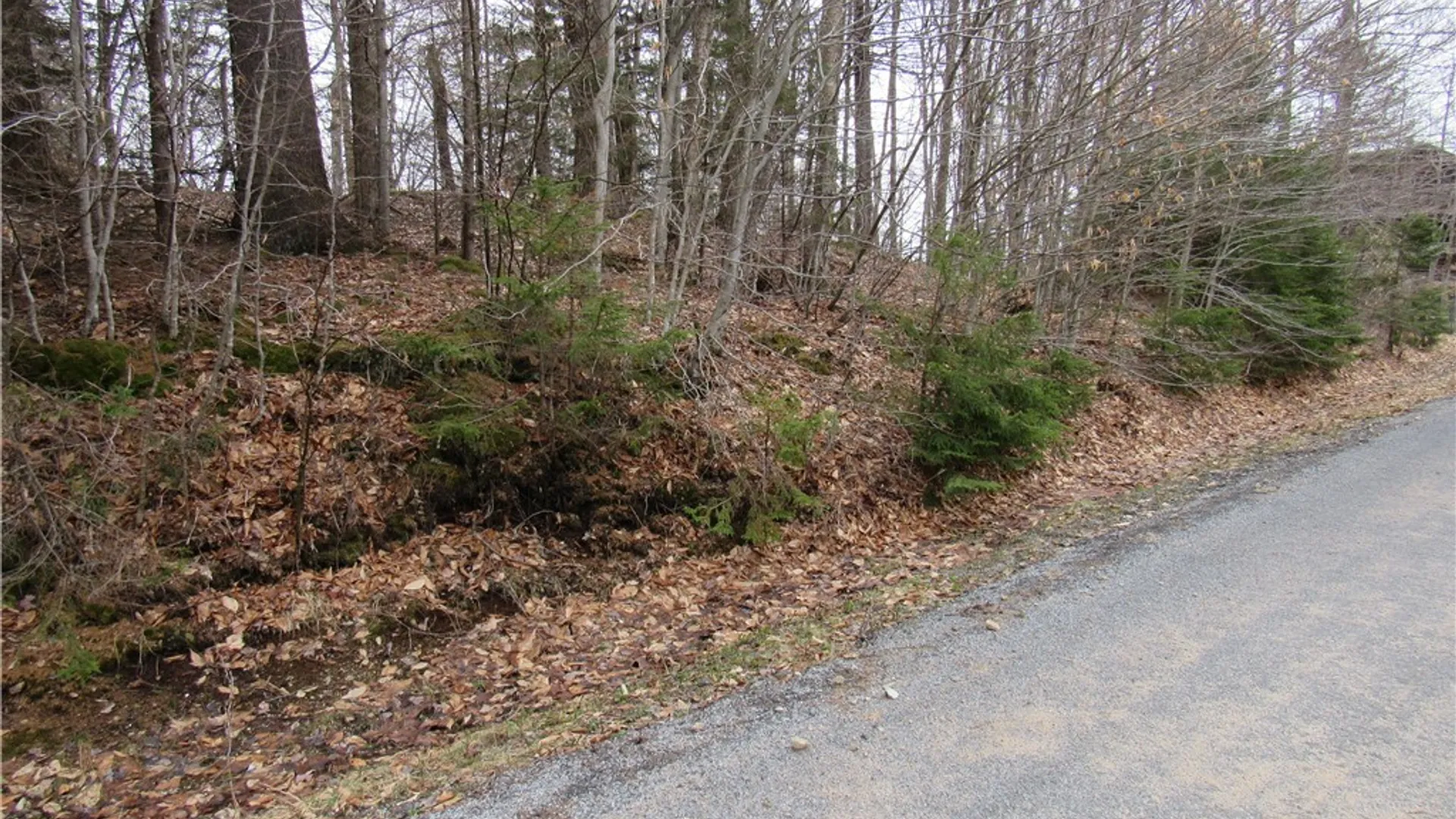 Property at Palisades Road, Webb, NY 13420 4