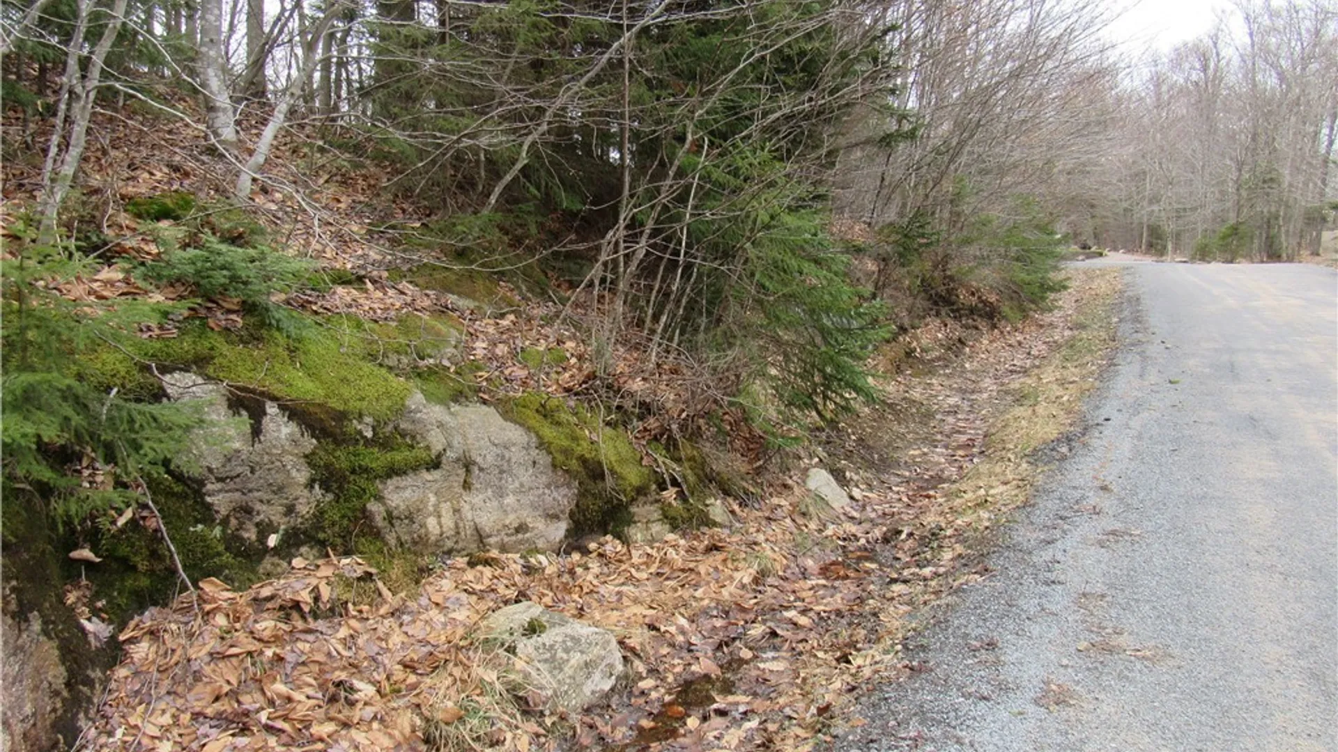 Property at Palisades Road, Webb, NY 13420 5