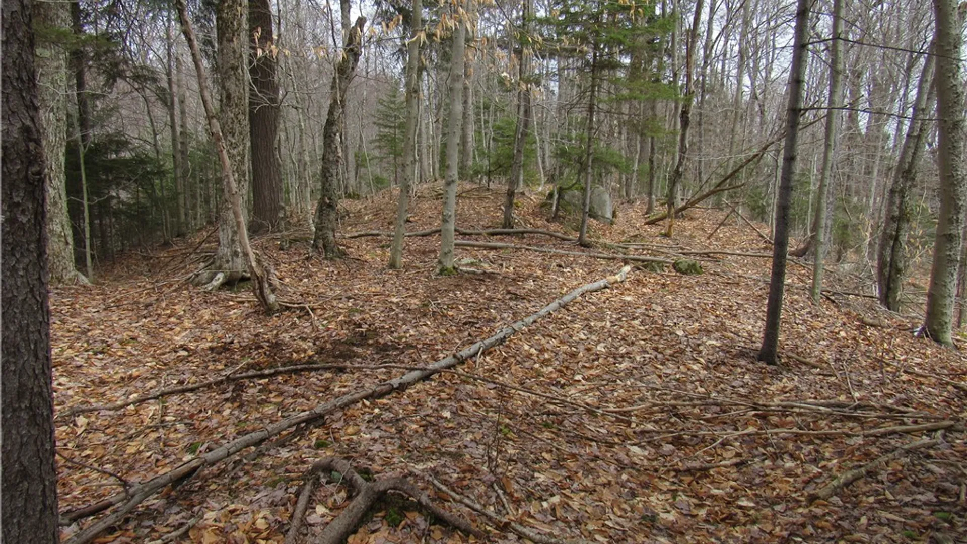 Property at Palisades Road, Webb, NY 13420 8