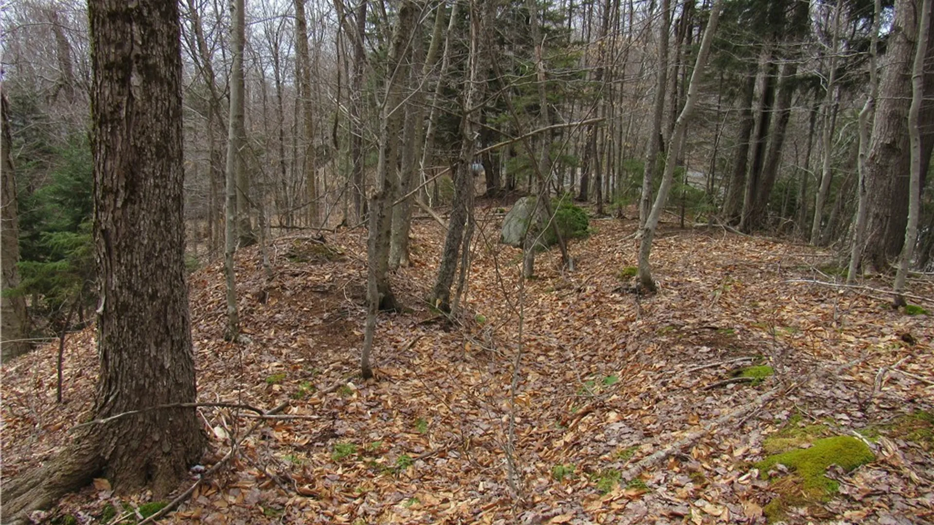 Property at Palisades Road, Webb, NY 13420 9