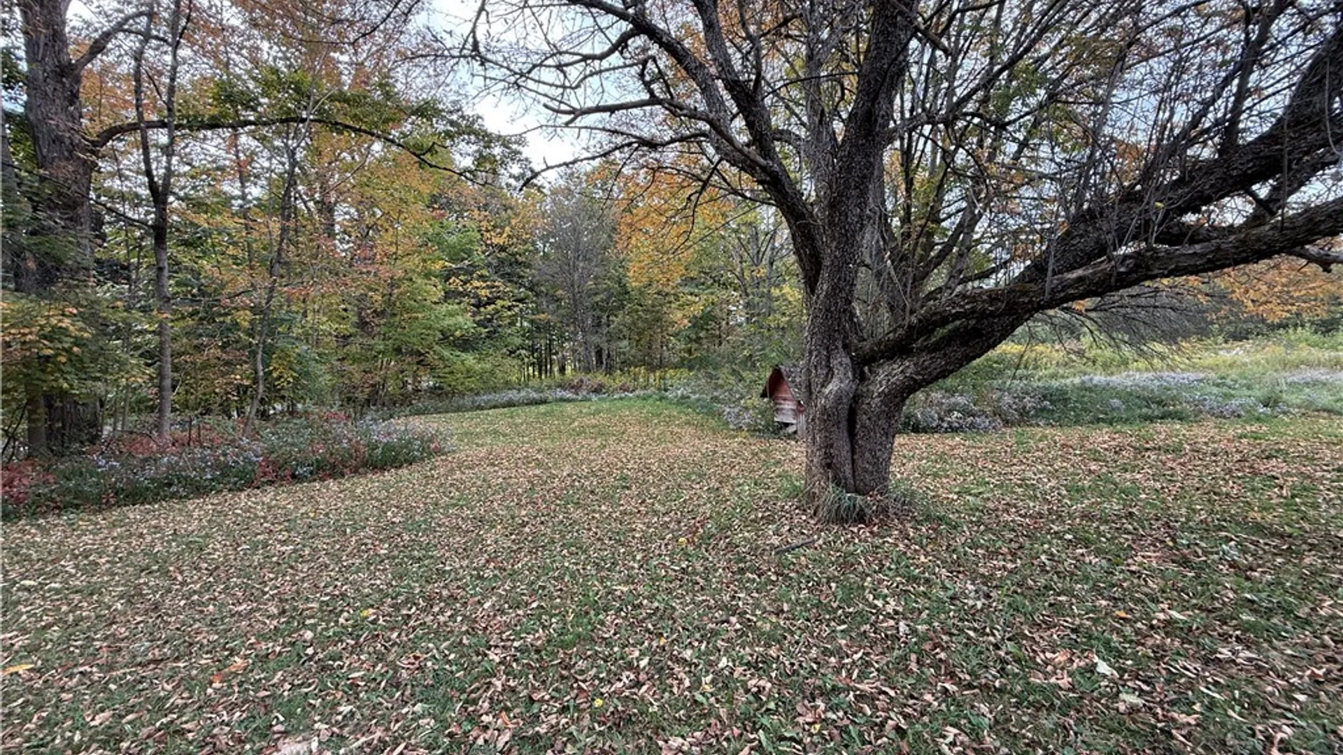 Property at 11033 Francis Road, Remsen, NY 13438 10