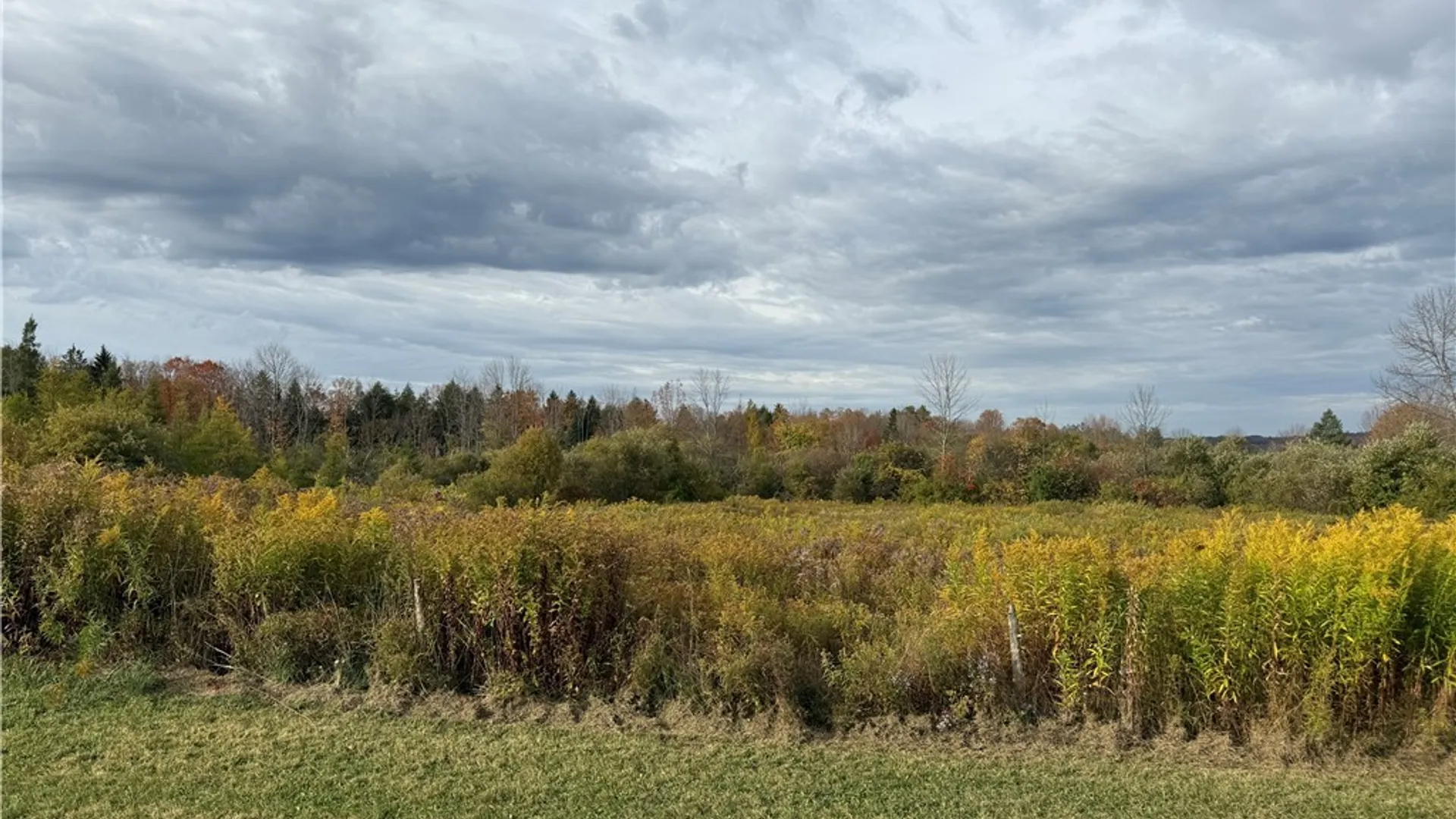 Property at 11033 Francis Road, Remsen, NY 13438 11