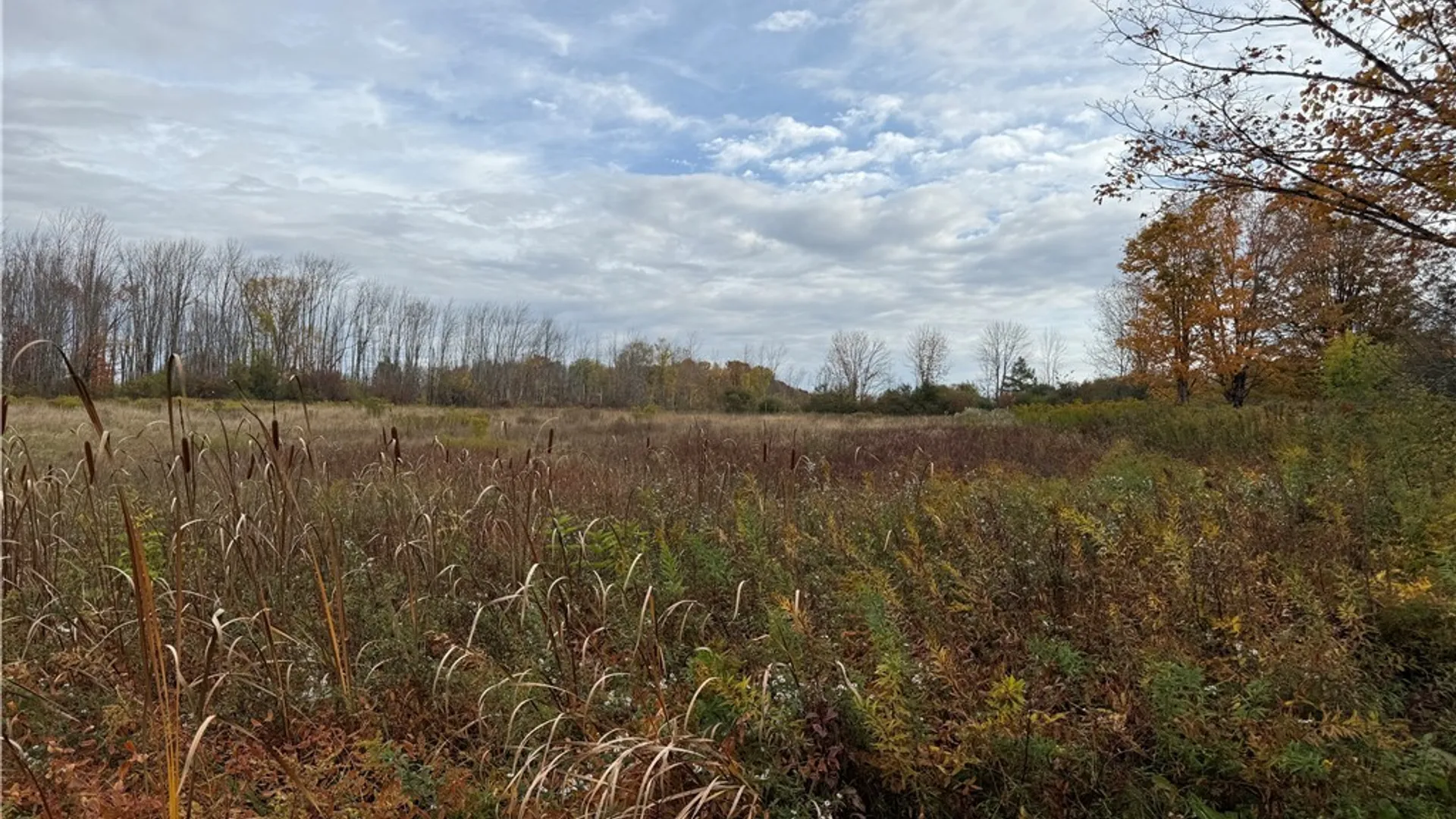 Property at 11033 Francis Road, Remsen, NY 13438 27