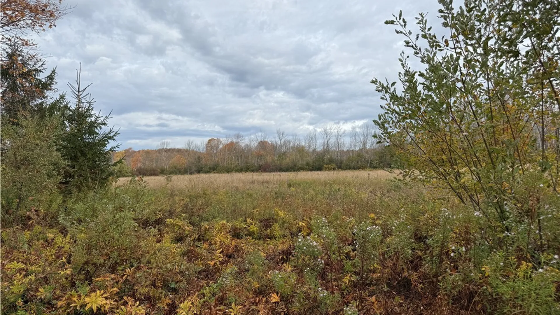 Property at 11033 Francis Road, Remsen, NY 13438 28