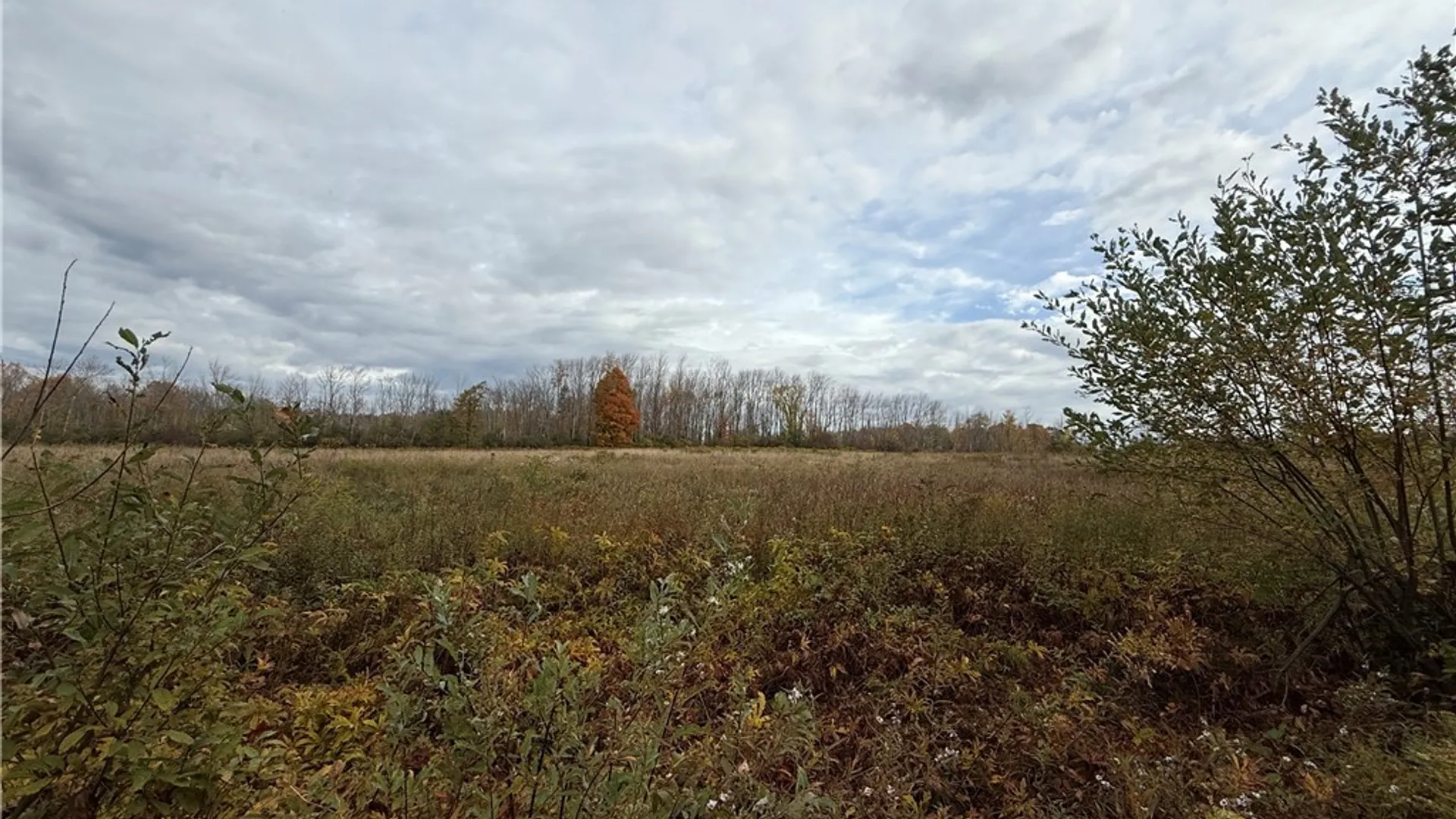 Property at 11033 Francis Road, Remsen, NY 13438 29