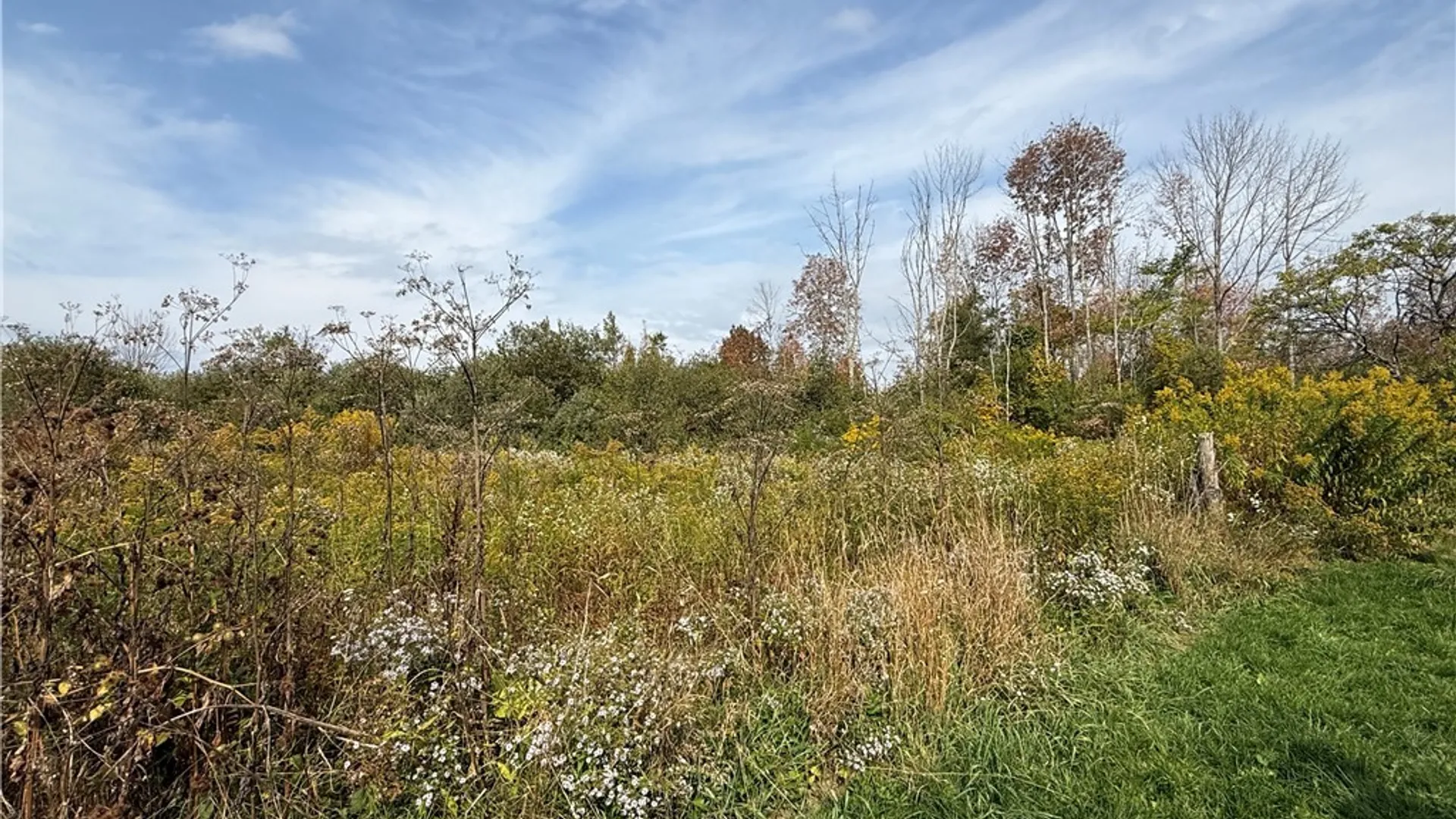 Property at 11033 Francis Road, Remsen, NY 13438 8