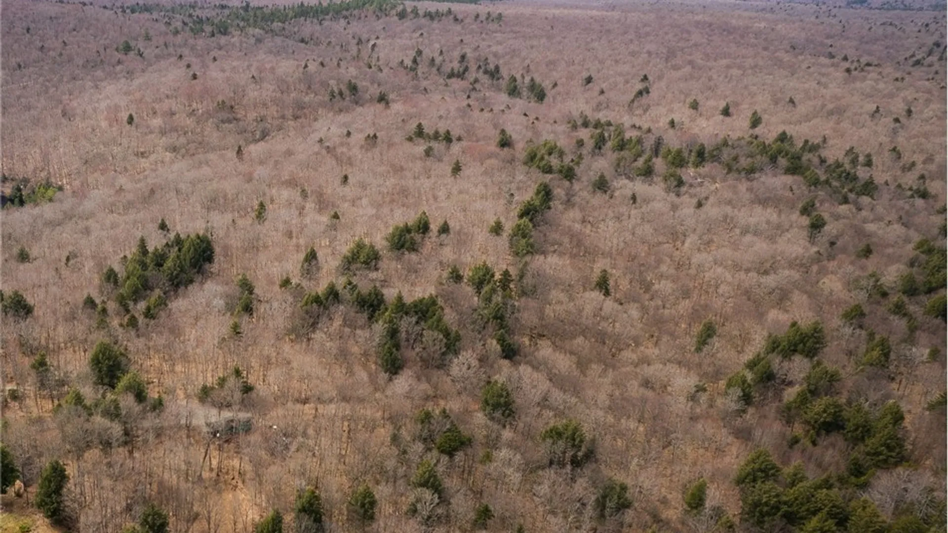 Property at 0 Warren Point Rd, NY 12973 14