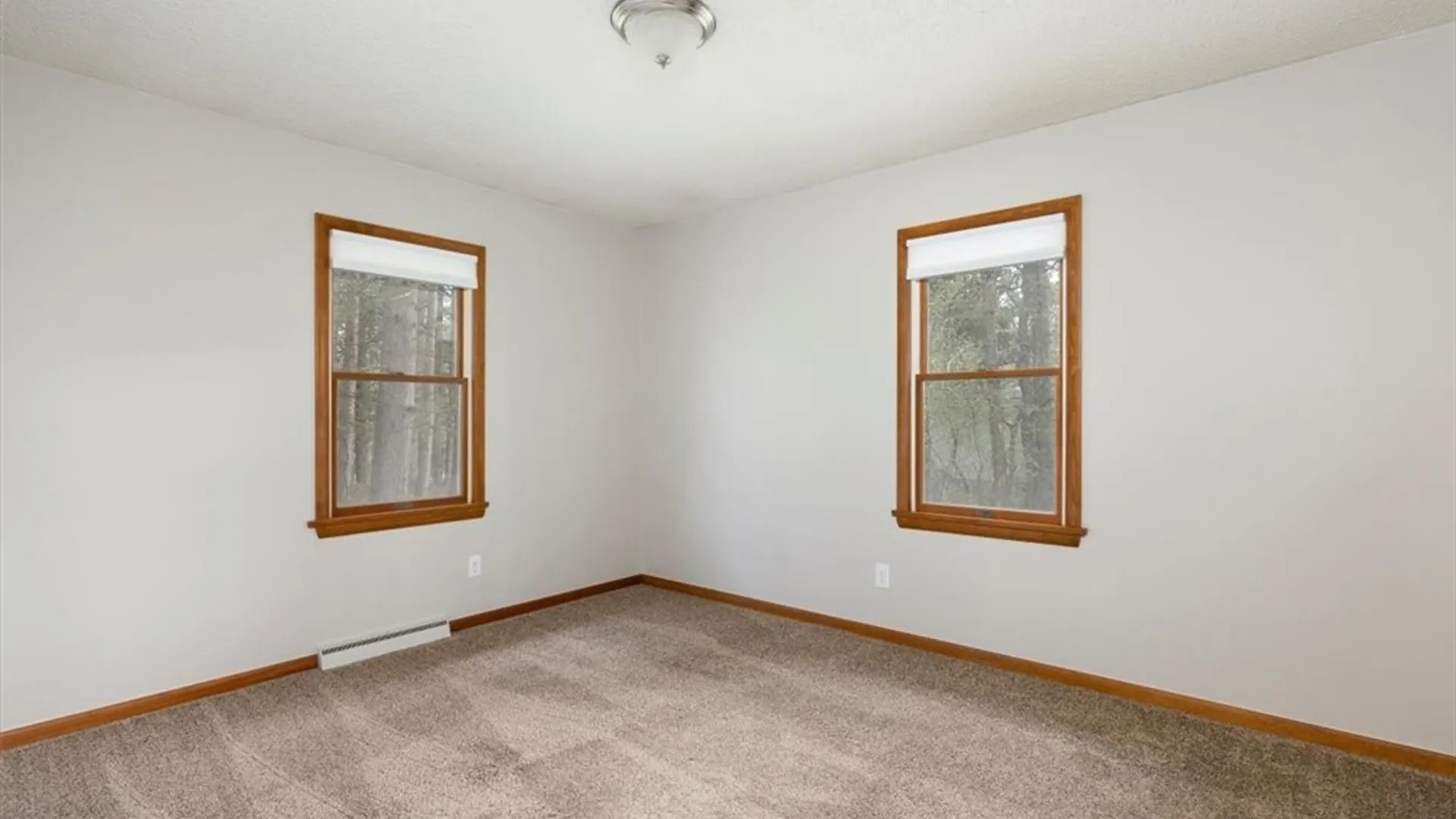 Property at 60 Heiler Drive, Aurora, NY 14052 15