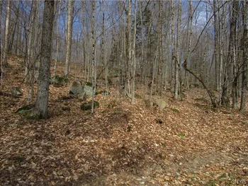 Capron Road, Forestport, NY 13338