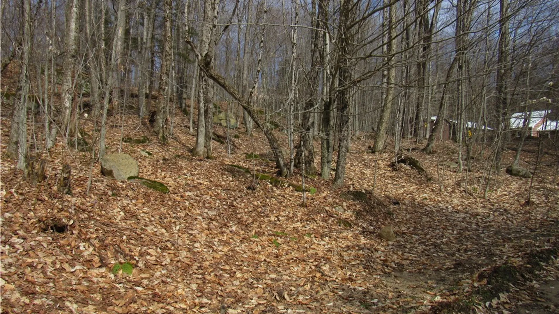 Property at Capron Road, Forestport, NY 13338 2