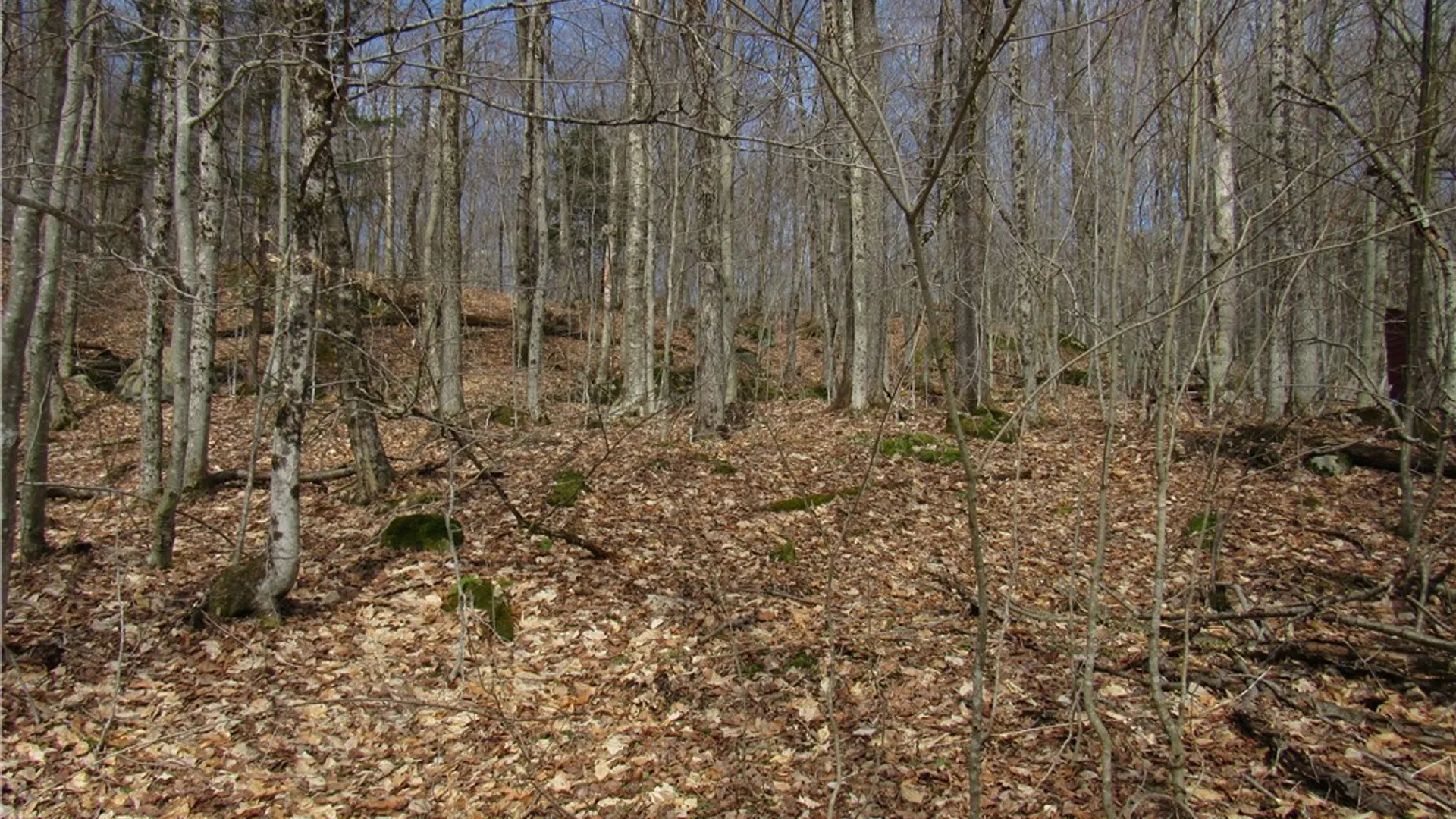 Property at Capron Road, Forestport, NY 13338 3