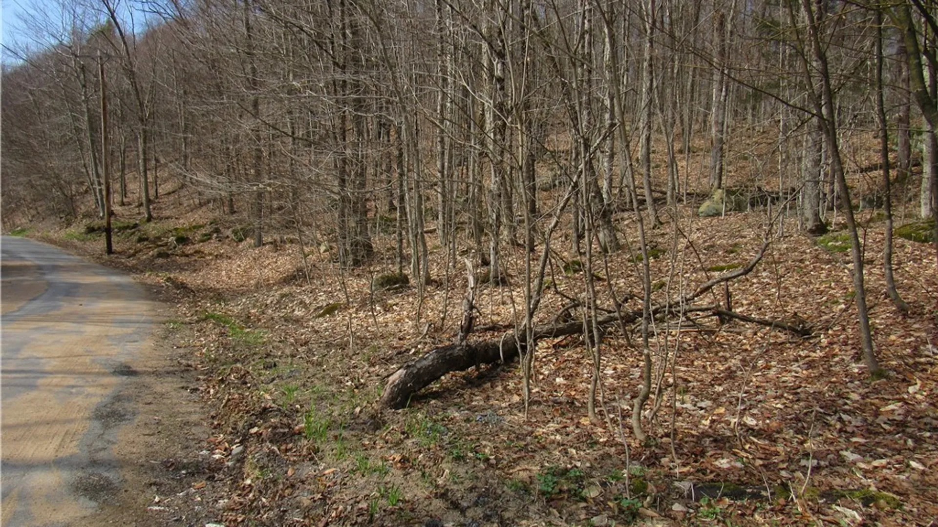 Property at Capron Road, Forestport, NY 13338 5