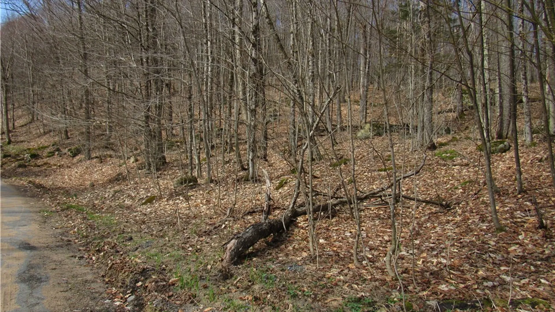 Property at Capron Road, Forestport, NY 13338 8