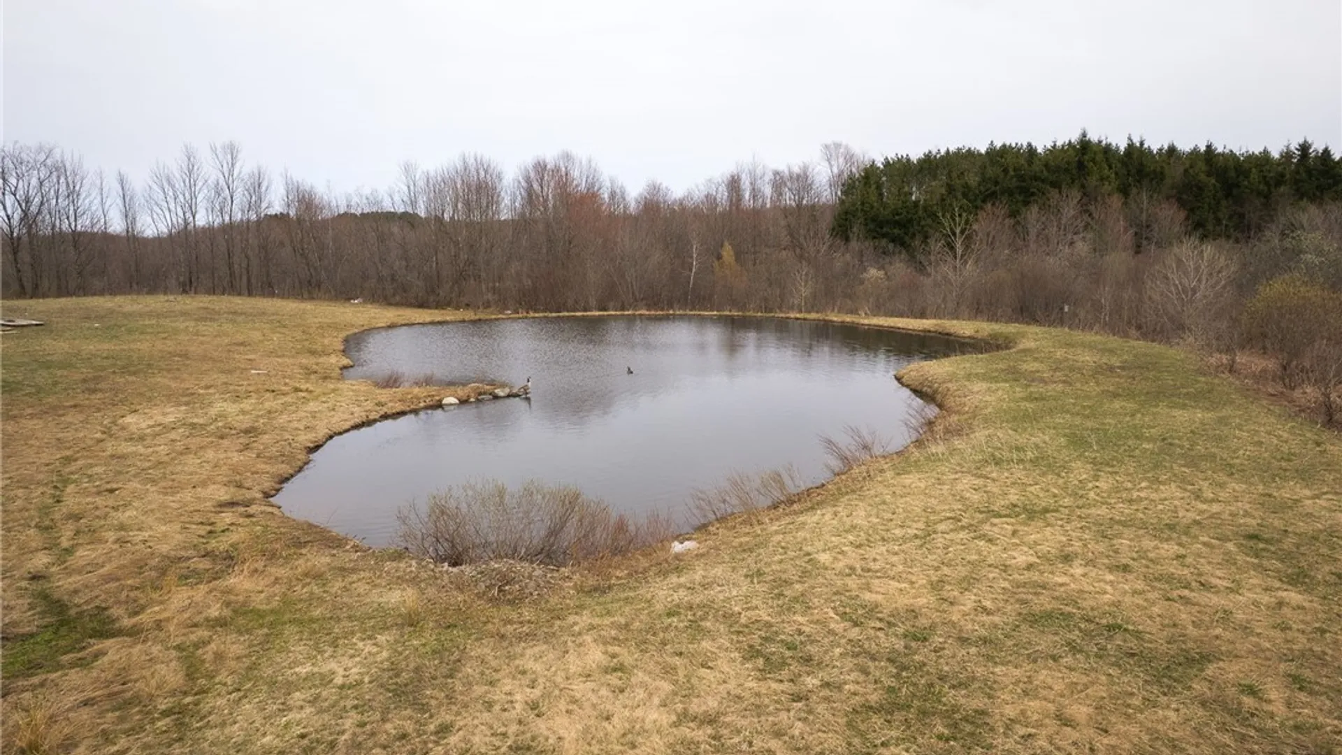 Property at 11780 State Route 26, Ava, NY 13303 31