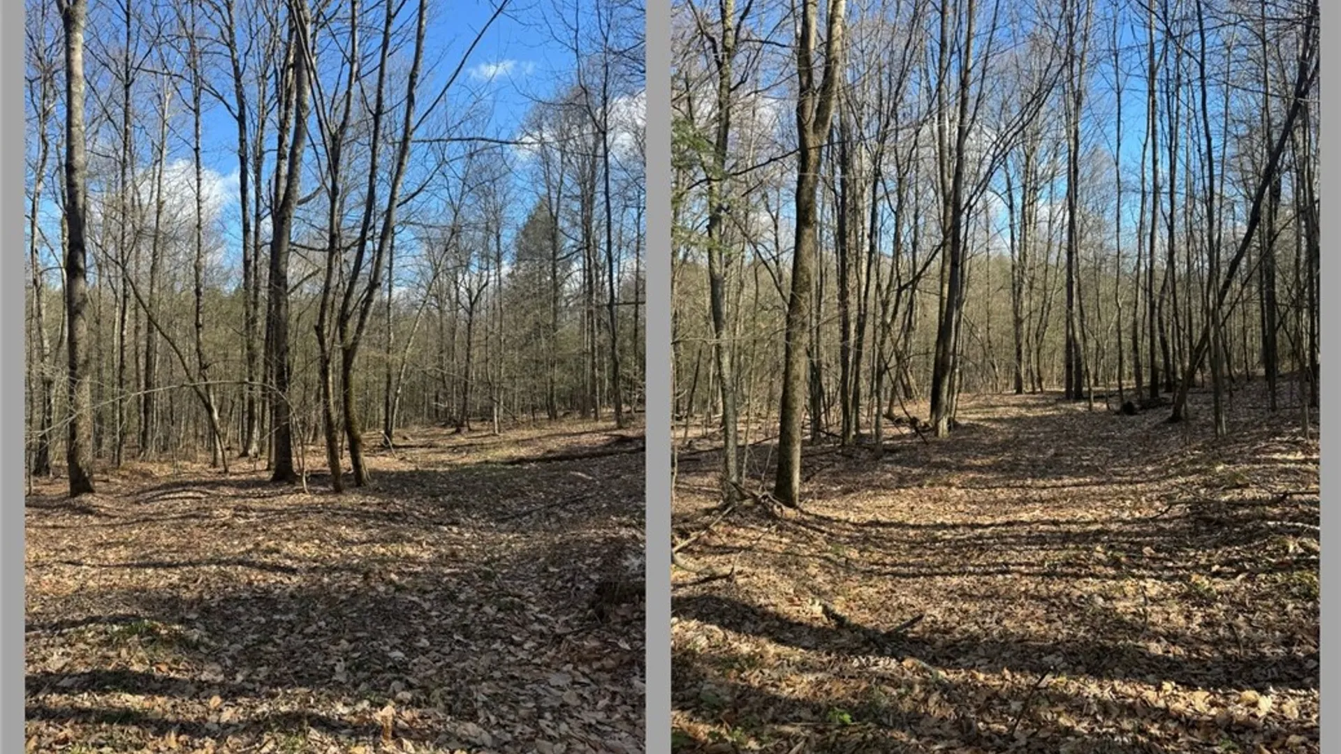 Property at Jennison Road, Pittsfield, NY 13411 3