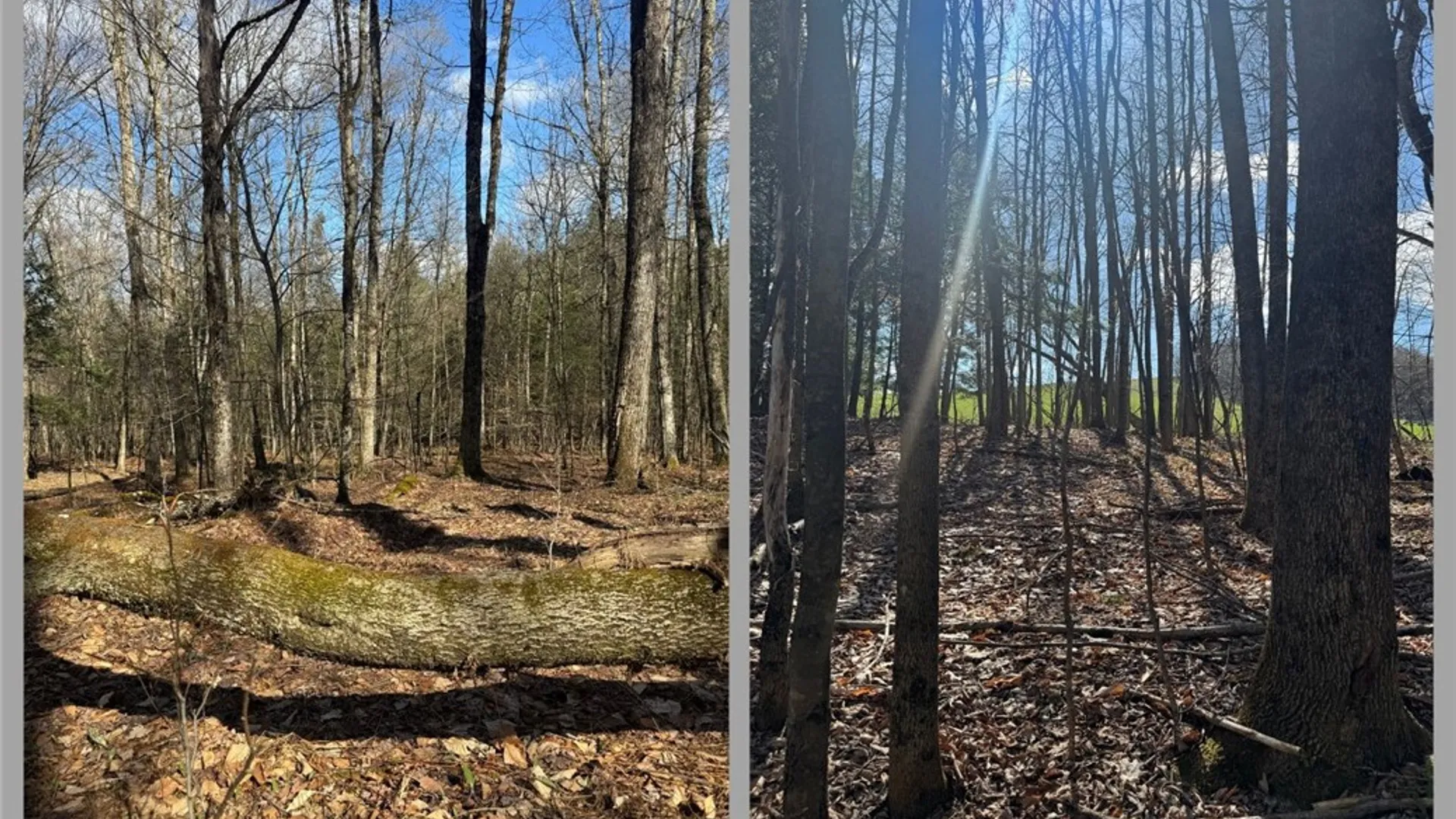 Property at Jennison Road, Pittsfield, NY 13411 4