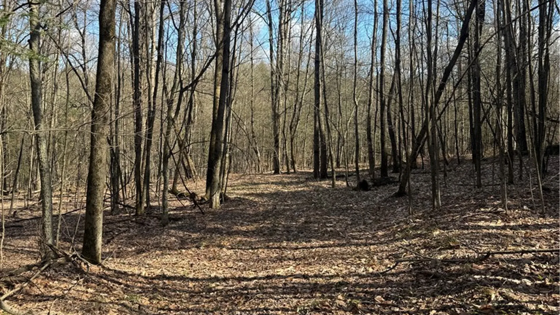 Property at Jennison Road, Pittsfield, NY 13411 4