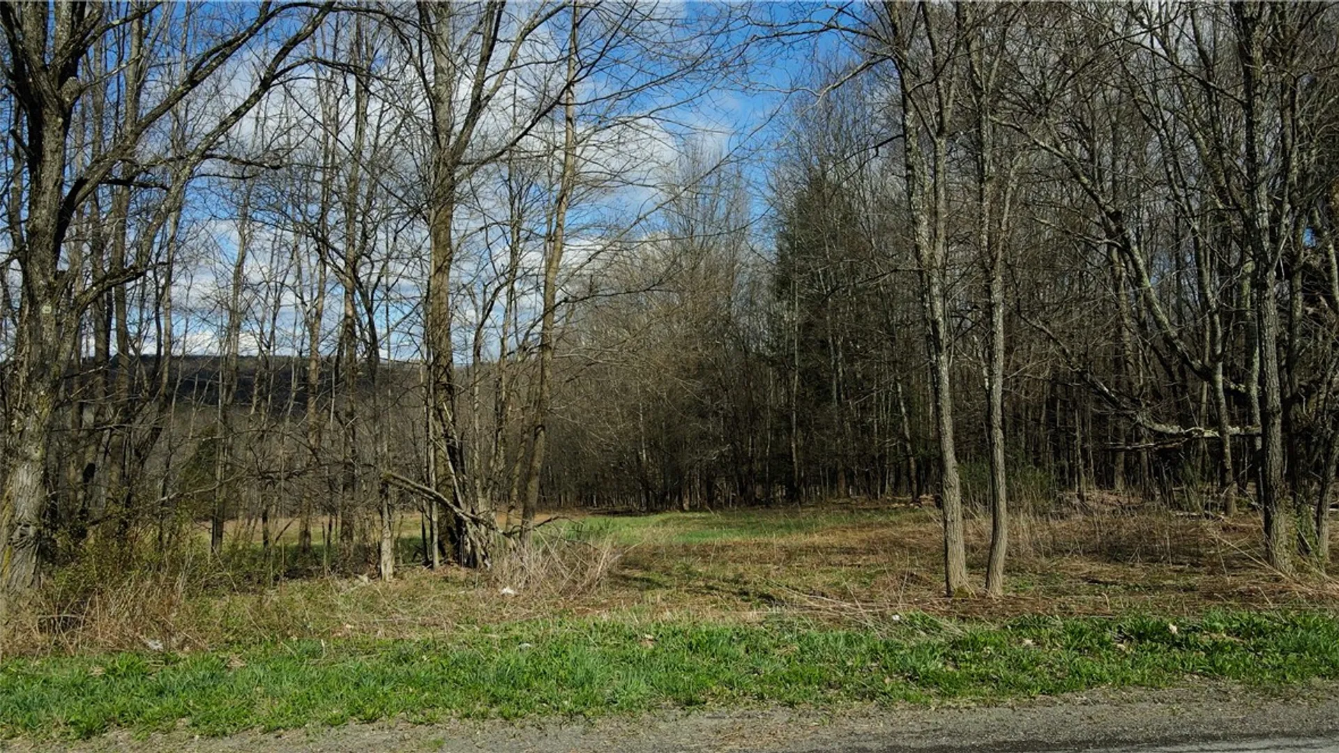 Property at Jennison Road, Pittsfield, NY 13411 5