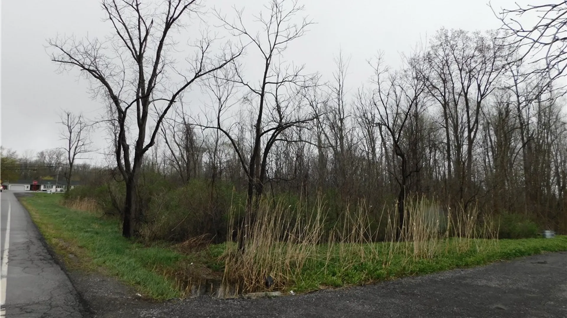 Property at 12739 Main Road, Newstead, NY 14001 4