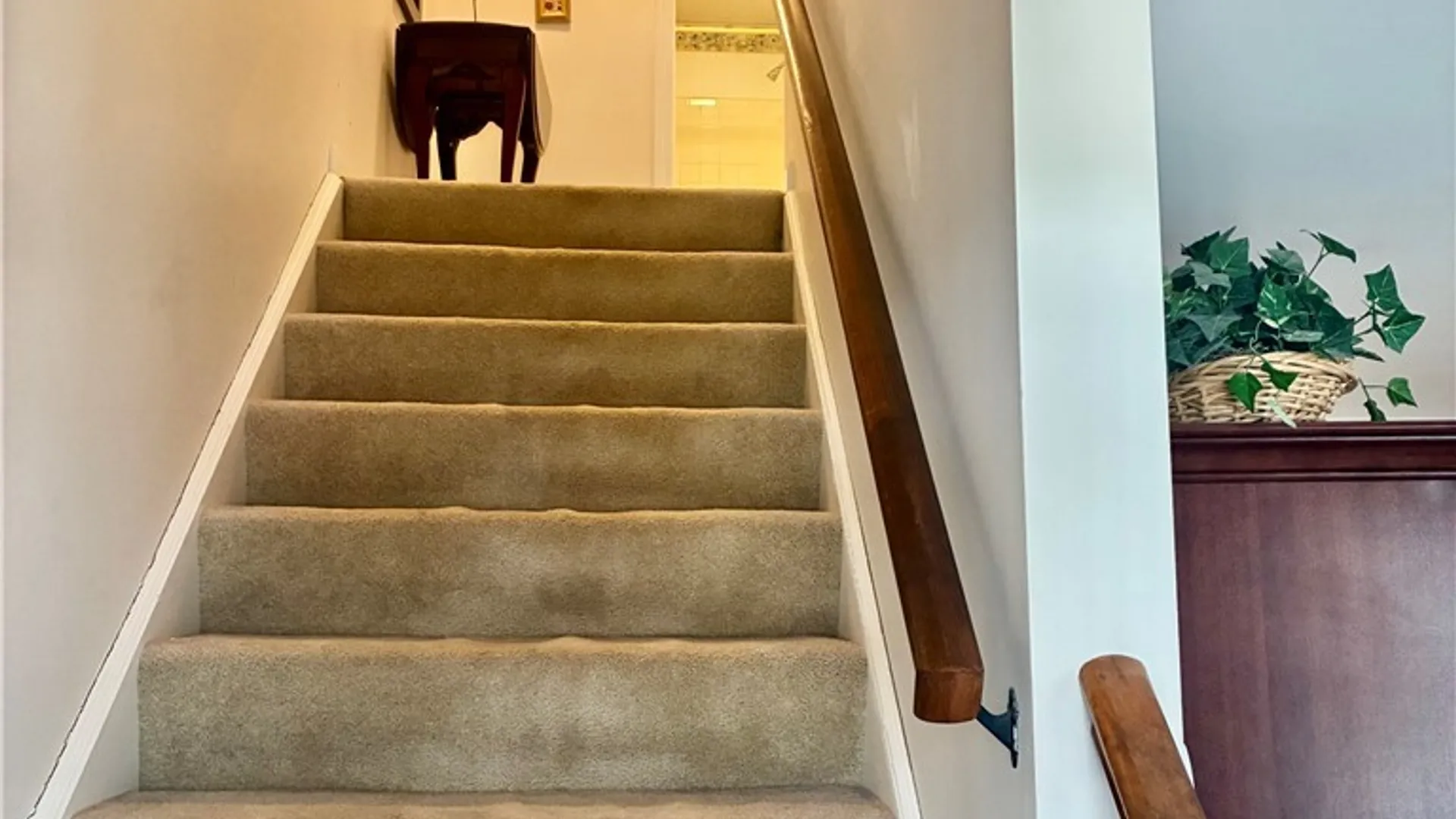 Property at 40 Hamlin Sq, Amherst, NY 14221 12