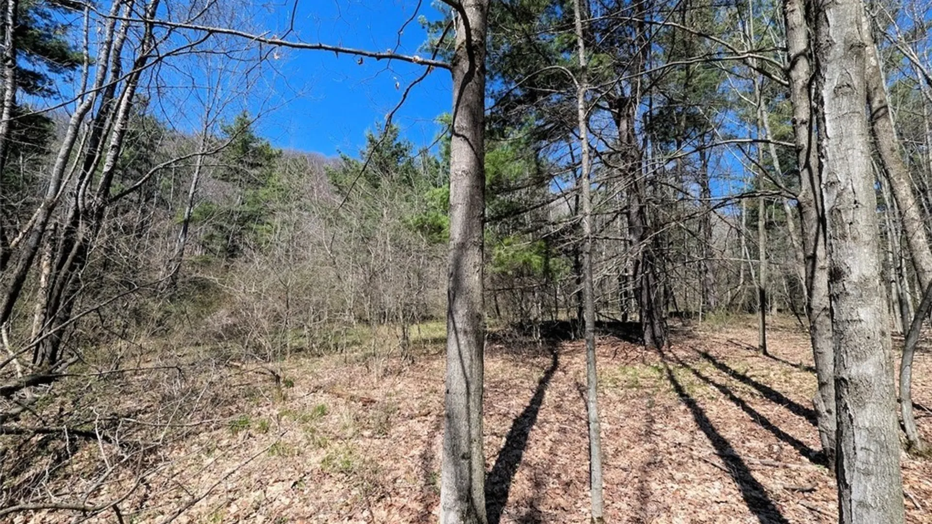 Property at 5831 Burt Hill Road, Howard, NY 14823 27