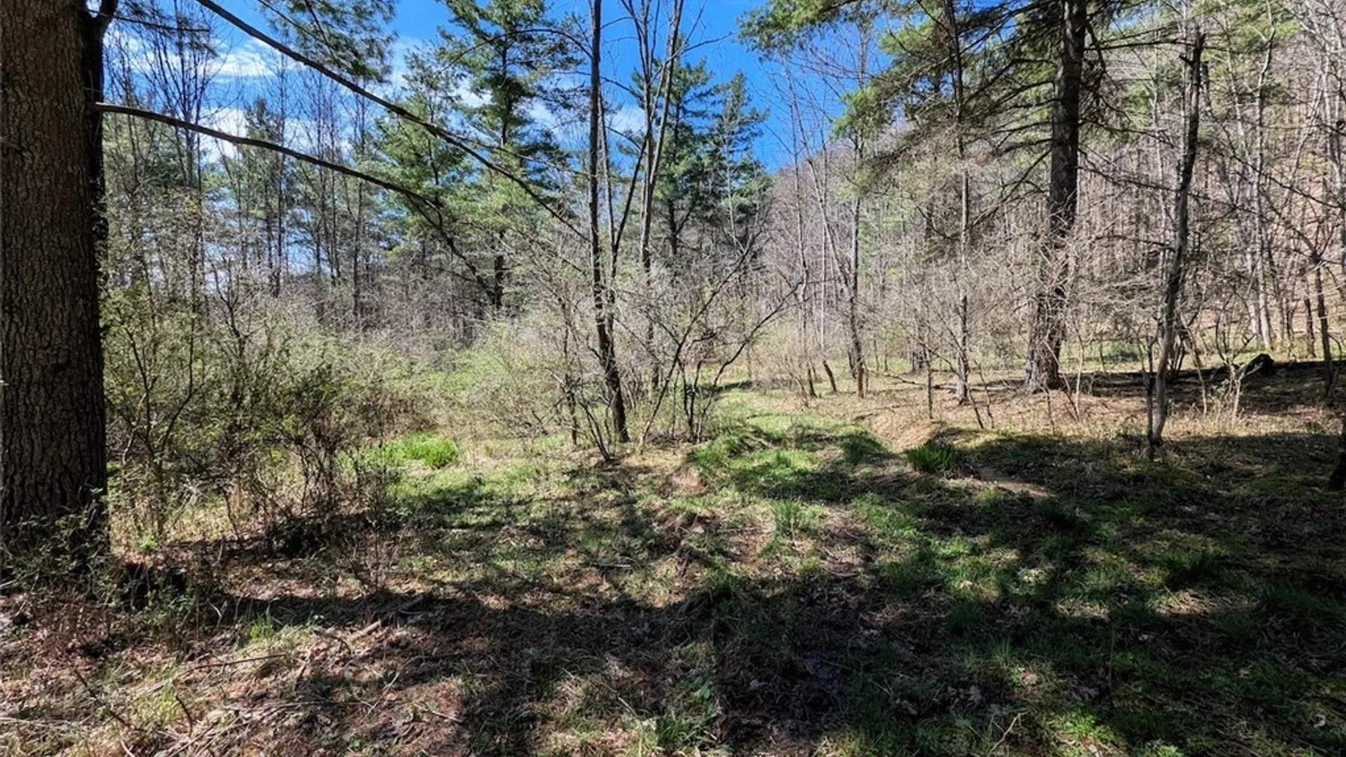 Property at 5831 Burt Hill Road, Howard, NY 14823 29