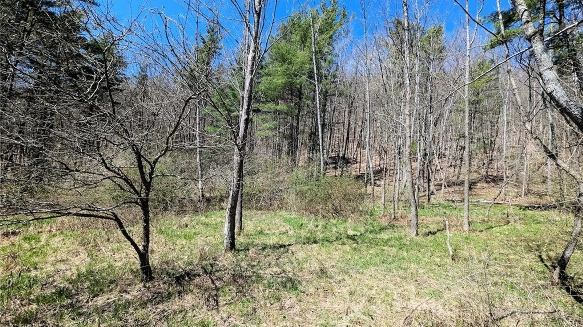 Property at 5831 Burt Hill Road, Howard, NY 14823 31
