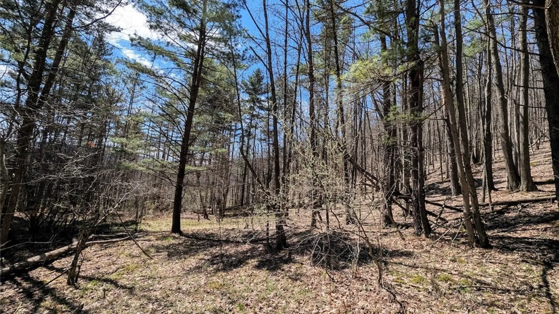 Property at 5831 Burt Hill Road, Howard, NY 14823 32