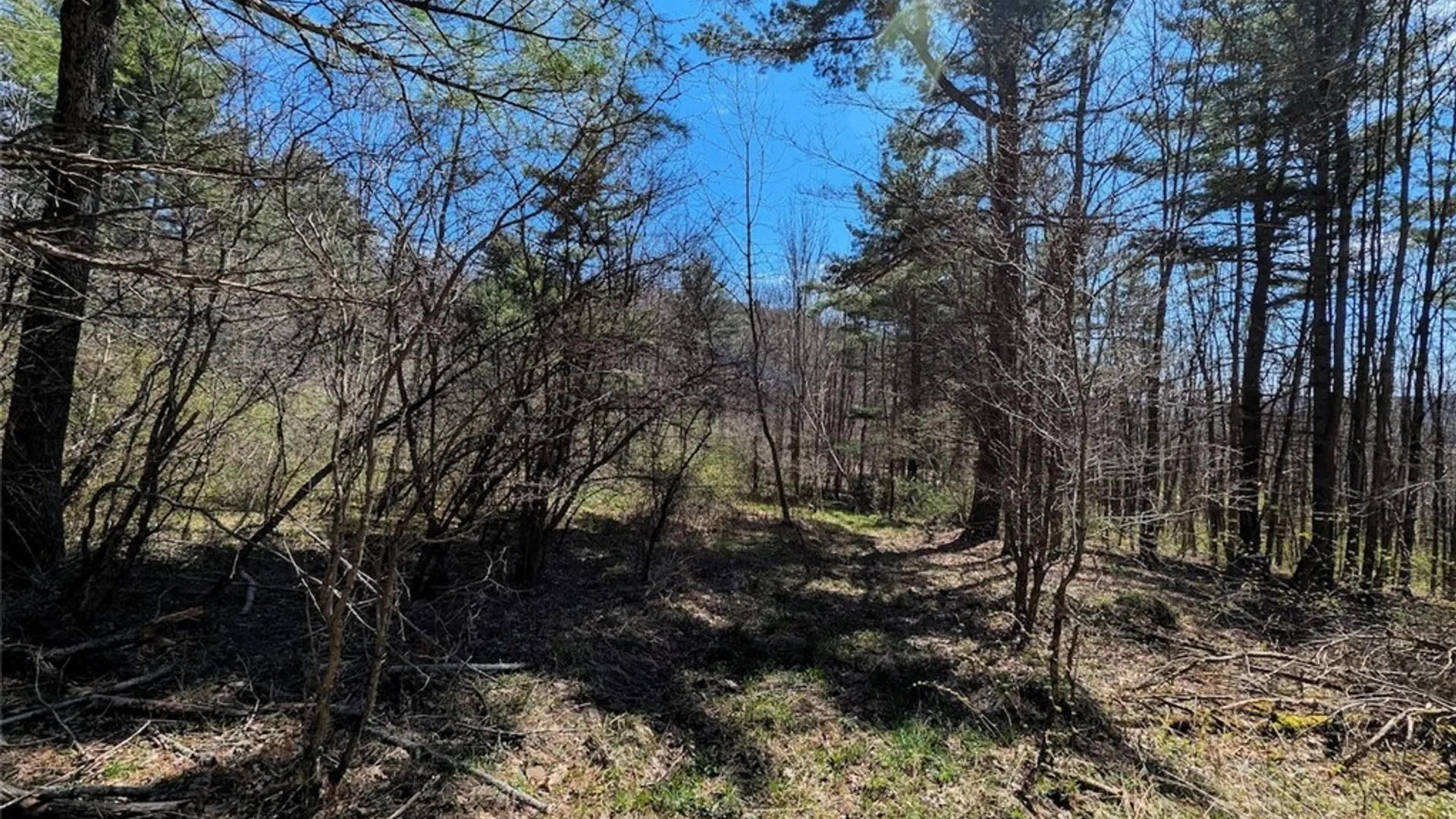 Property at 5831 Burt Hill Road, Howard, NY 14823 34