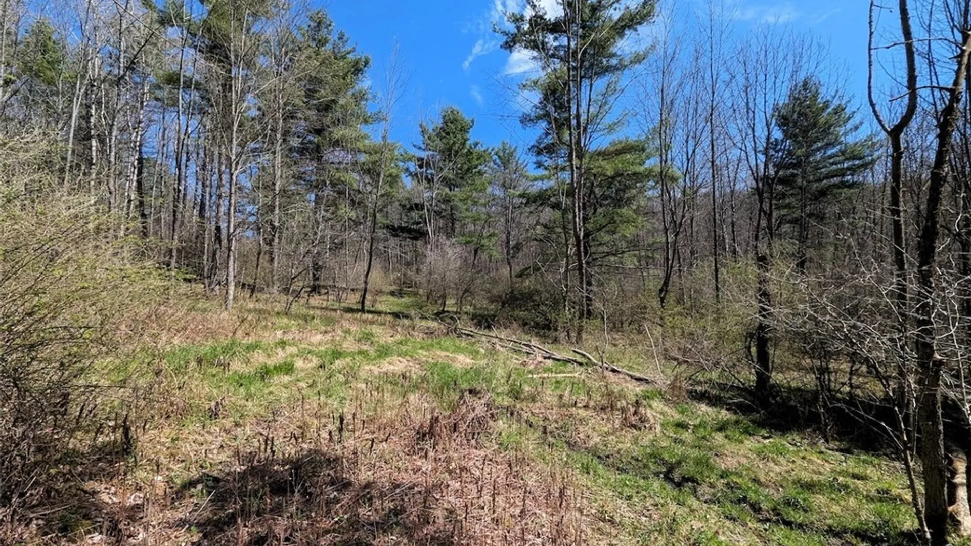 Property at 5831 Burt Hill Road, Howard, NY 14823 35