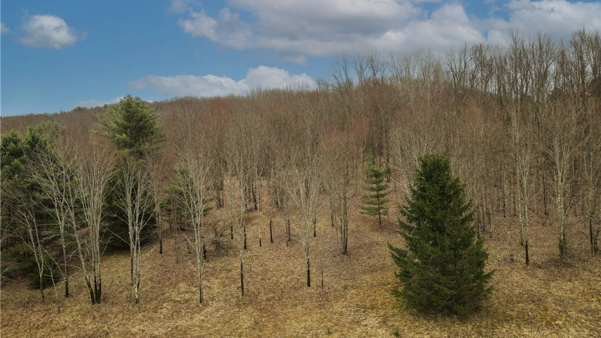 Property at 373 County Highway 10, Morris, NY 13808 10