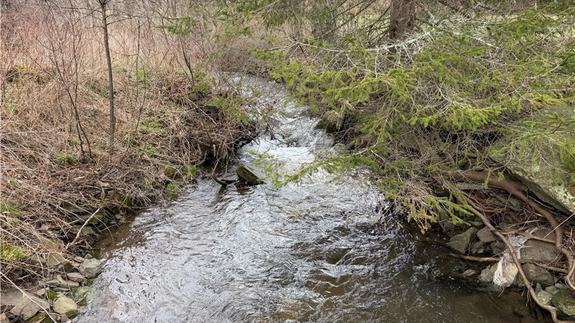 Property at 373 County Highway 10, Morris, NY 13808 13