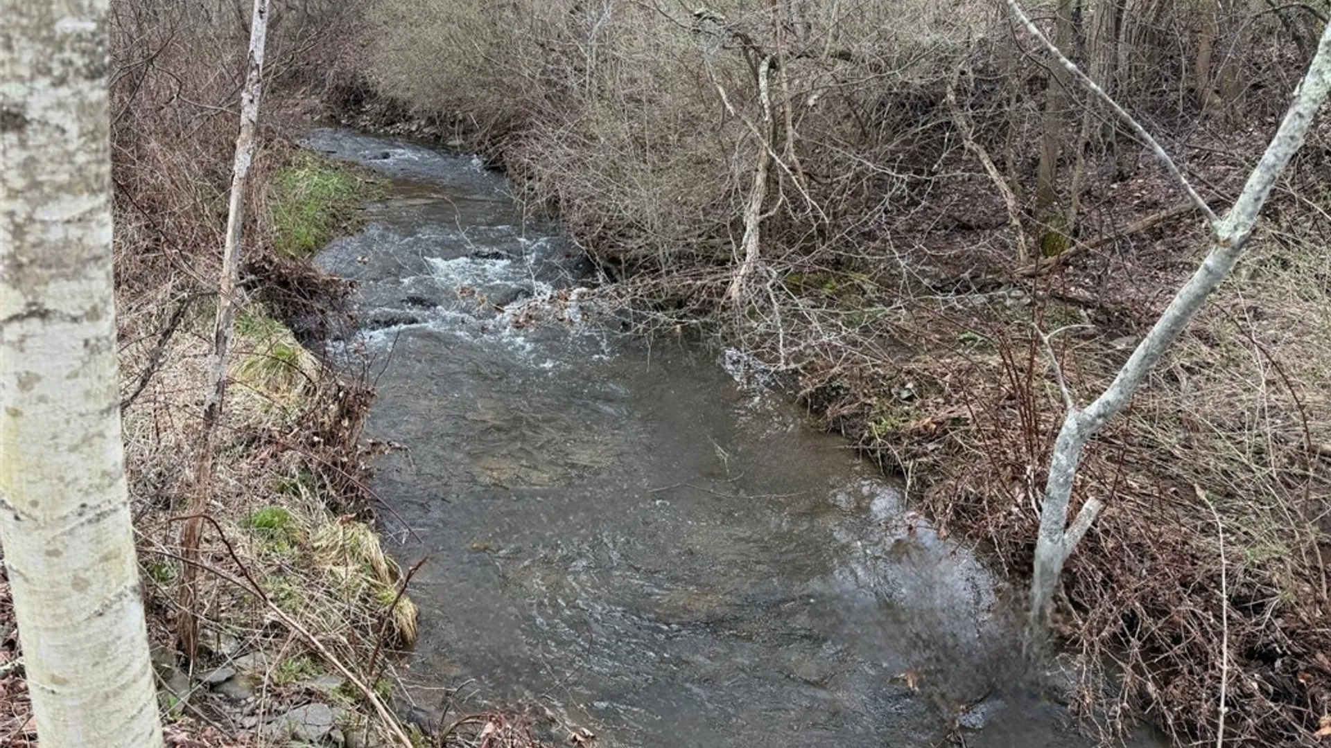 Property at 373 County Highway 10, Morris, NY 13808 14