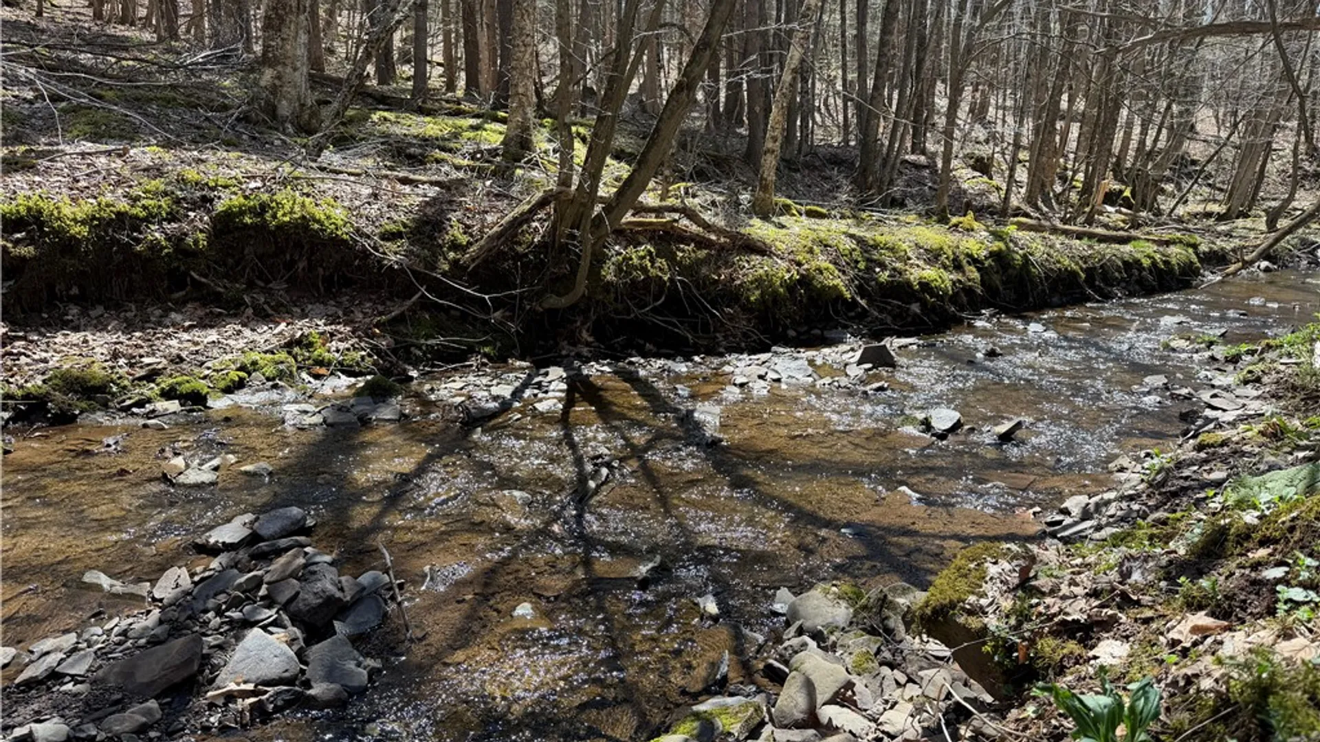 Property at 373 County Highway 10, Morris, NY 13808 15