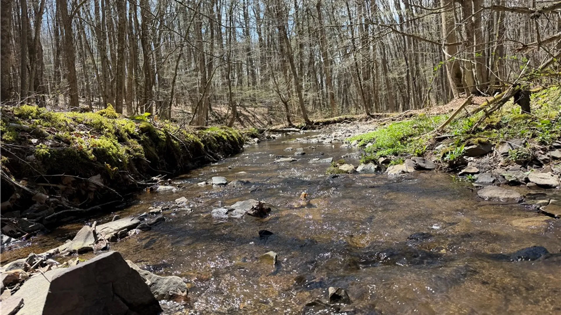 Property at 373 County Highway 10, Morris, NY 13808 16