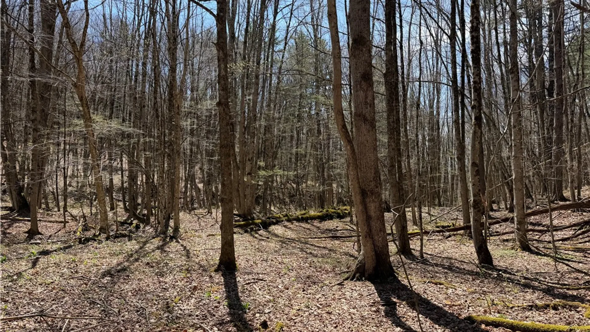 Property at 373 County Highway 10, Morris, NY 13808 18