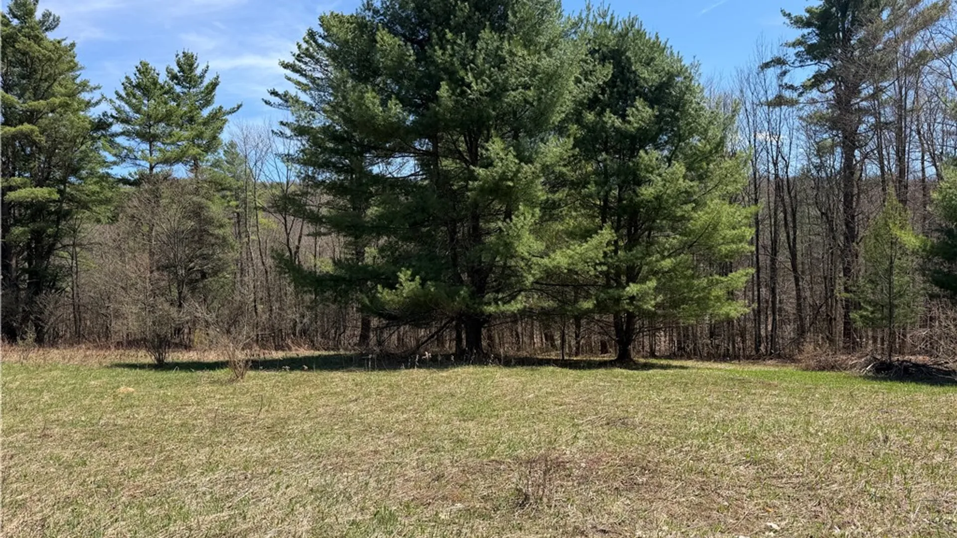 Property at 373 County Highway 10, Morris, NY 13808 19