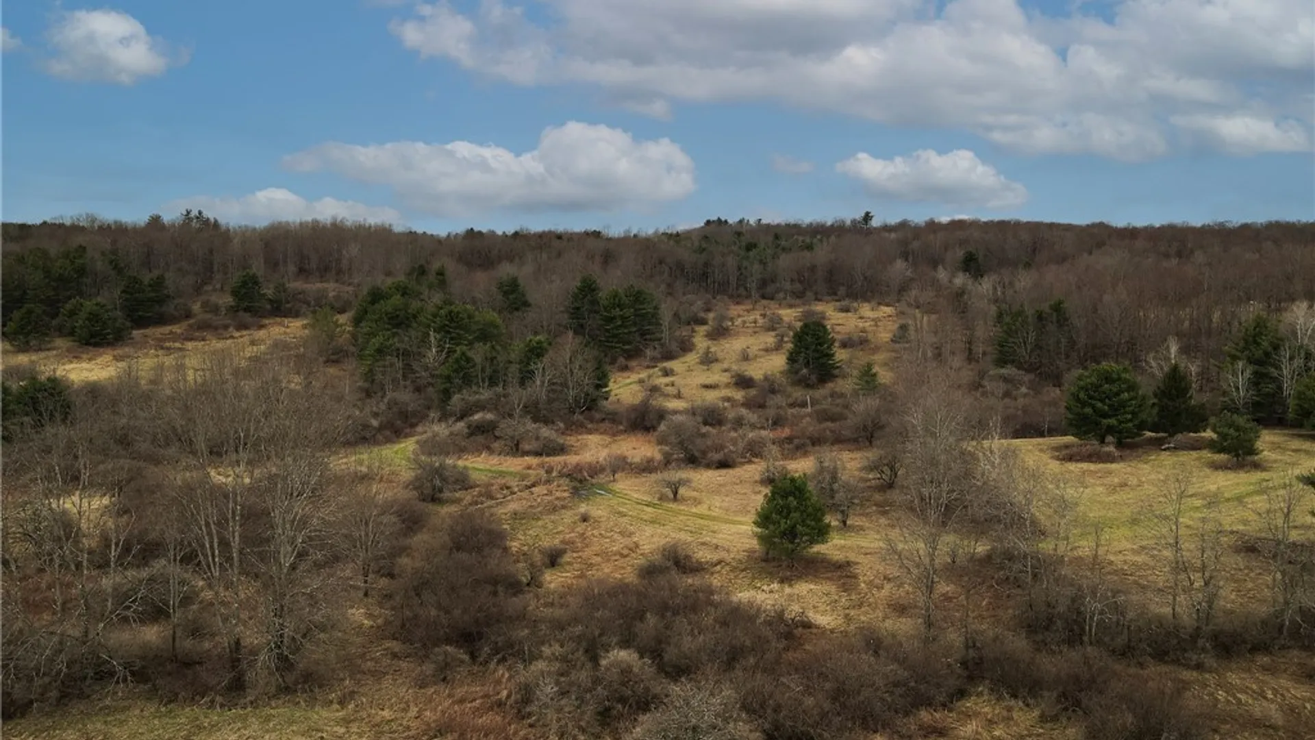 Property at 373 County Highway 10, Morris, NY 13808 35