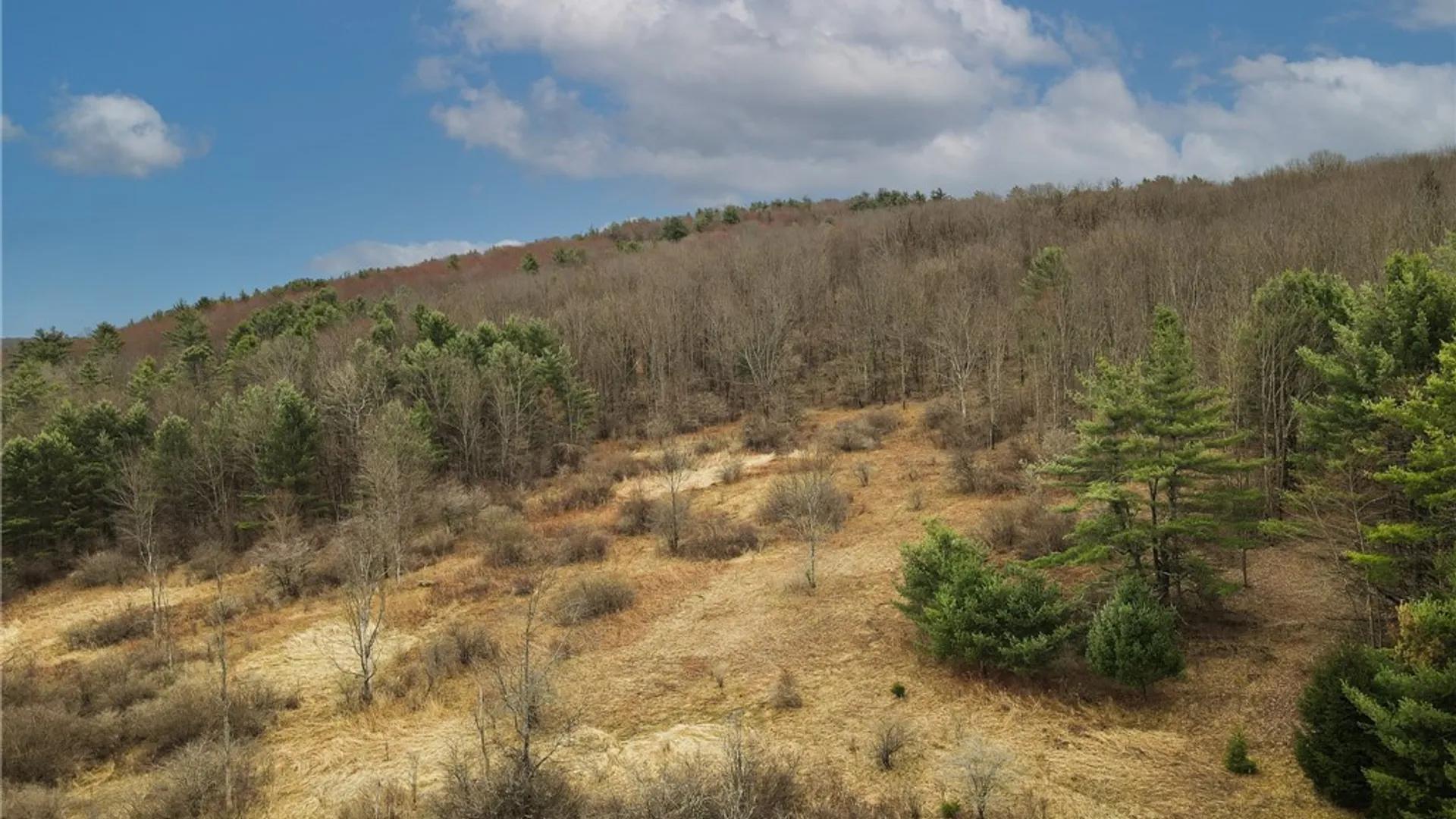 Property at 373 County Highway 10, Morris, NY 13808 7