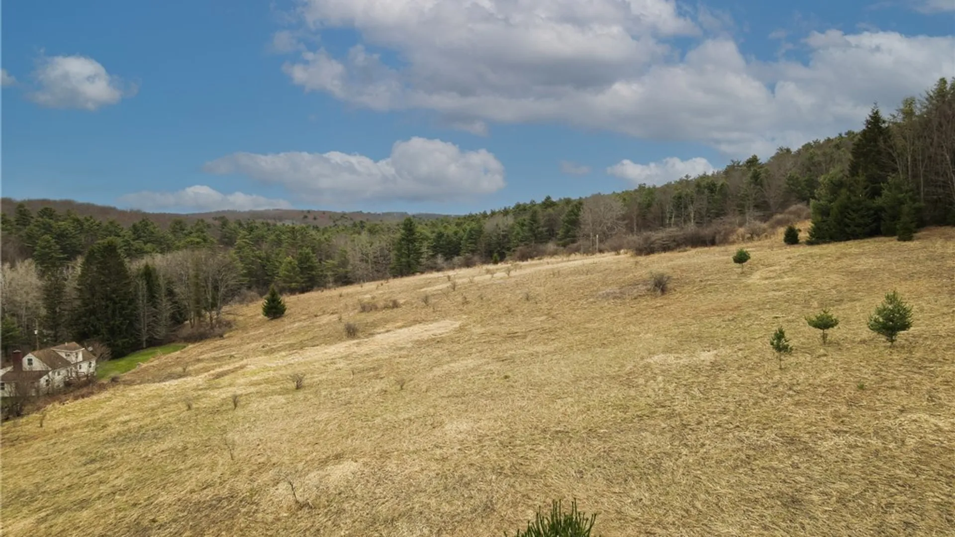 Property at 373 County Highway 10, Morris, NY 13808 8