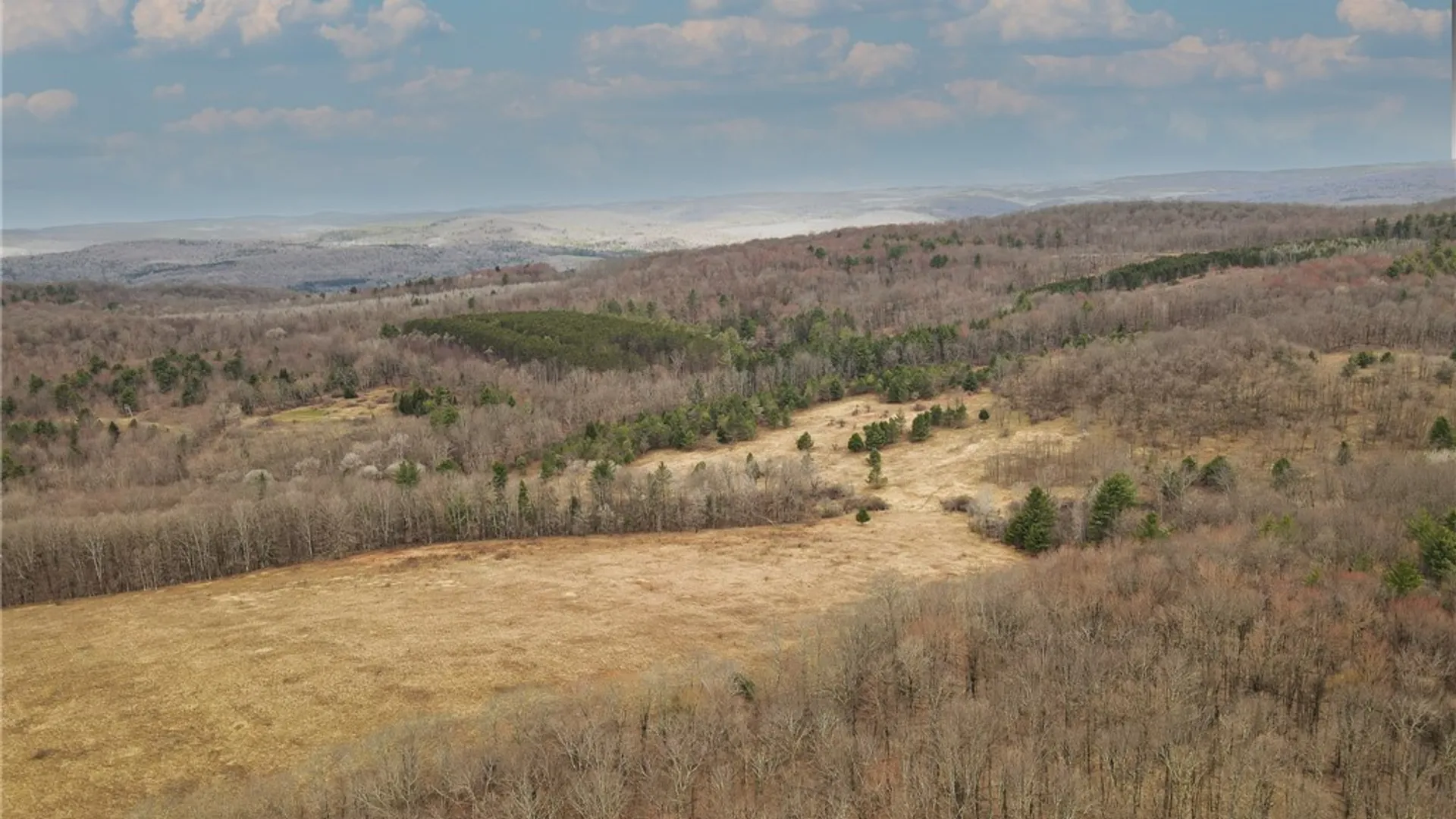 Property at 373 County Highway 10, Morris, NY 13808 9